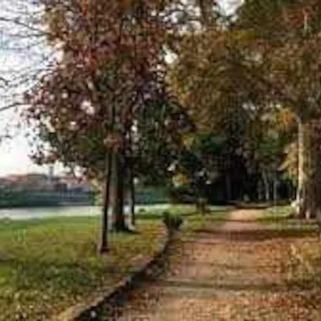 Notari Appartamento Pisa