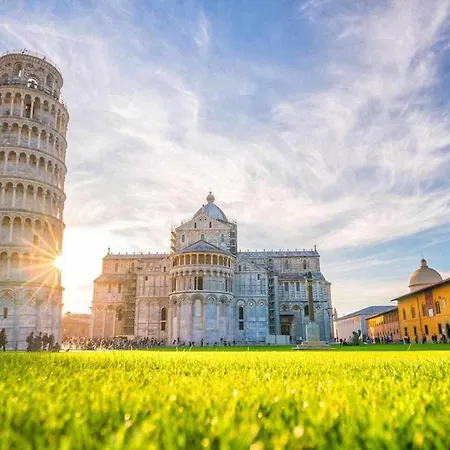 Notari * Pisa